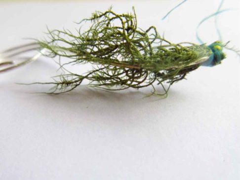 Usnea Lichen and Silver Ring, bound with shipping rope